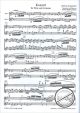 Notenbild für SYRINX 90 - KONZERT - FL ORCH