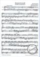 Notenbild für SYRINX 93 - KONZERT H-MOLL - FL ORCH