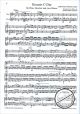 Notenbild für SYRINX 94 - CONCERTO C-DUR - FL ORCH