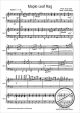 Notenbild für TAST 851 - MAPLE LEAF RAG