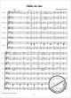 Notenbild für VHR 3842 - FIDDLE DE DEE