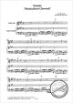 Notenbild für WALHALL 577 - SONATE (MUSICALISCH UHRWERK)