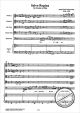 Notenbild für WALHALL 633 - SALVE REGINA (1666)