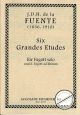 Titelbild für ACCOLADE 2013 - 6 GRANDES ETUDES