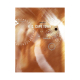 Titelbild für ADV 17058 - K G CAPE TOWN