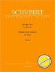 Titelbild für BA 10869 - SONATE C-MOLL D 958