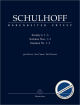 Titelbild für BA 9560 - SONATEN