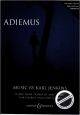 Titelbild für BH 5402353 - ADIEMUS 1 - SONGS OF SANCTUARY