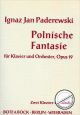 Titelbild für BOTE 0894 - POLNISCHE FANTASIE OP 19  KLAV ORCH