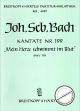 Titelbild für EBPB 4699 - KANTATE 199 MEIN HERZE SCHWIMMT IM BLUT BWV 199