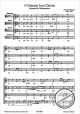 Titelbild für FERRIMON 1096 - O DOMINE JESU CHRISTE