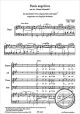 Titelbild für FERRIMON 1642 - PANIS ANGELICUS (MESSE SOLENNELLE)