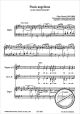 Titelbild für FERRIMON 1643 - PANIS ANGELICUS (MESSE SOLENNELLE)