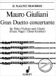 Titelbild für FTR 104 - GRAN DUETT CONCERTANTE OP 52