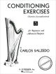 Titelbild für GS 28682 - CONDITIONING EXERCISES FOR BEGINNERS + ADVANCED HARPISTS