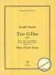 Titelbild für HBR 34 - TRIO G-DUR 1794