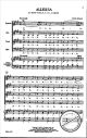 Titelbild für HINSHAW -HMC927 - ALLELUIA
