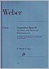 Titelbild für HN 1179 - CONCERTINO E-MOLL