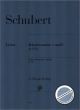 Titelbild für HN 727 - SONATE C-MOLL D 958