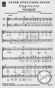 Titelbild für IRIS 1107-23 - CAPRICCIO (NACH DEM CAPRICCIO ITALIENNE VON TSCHAIKOWSKY)