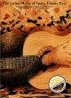 Titelbild für MSAM 90241 - THE GUITAR MUSIC OF SPAIN 2