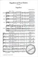 Titelbild für MSNOV 291907 - MAGNIFICAT UND NINC DIMITTIS IN D