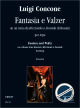 Titelbild für ORPHEUS -MAG210 - FANTASIA E VALZER SU UN TEMA DA RICCIARDO E ZORAIDE (ROSSINI)