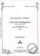 Titelbild für PJT -S1173-1 - CHOR DER GEFANGENEN (NABUCCO)